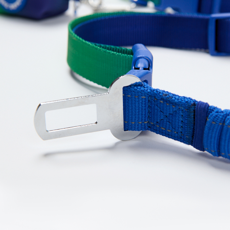 Lime Wave Neoprene Leash
