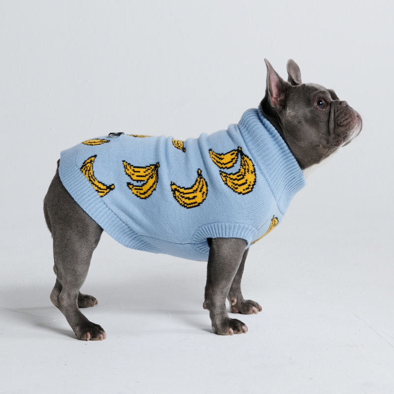Banana Knit Dog Sweater