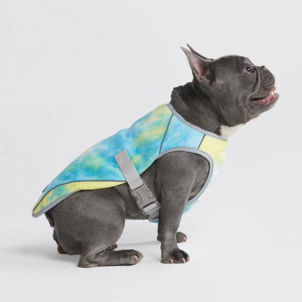 Dog Cooling Vest - Tropical Storm