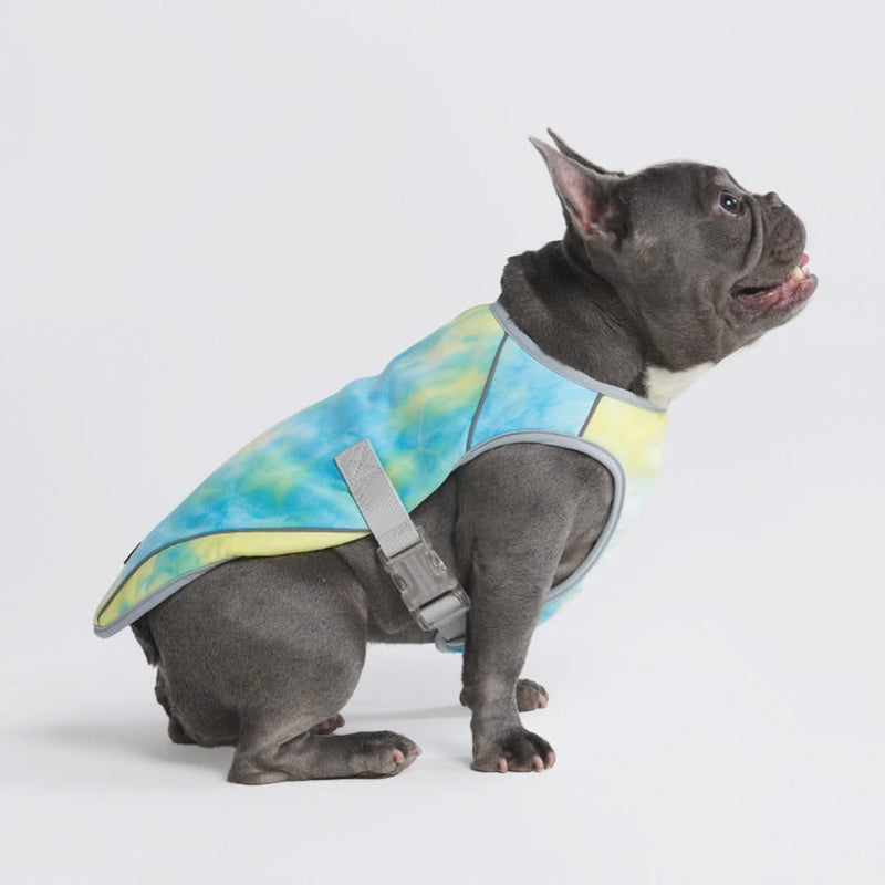 Cooling vests for dogs deals