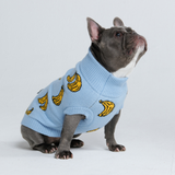 Banana Knit Dog Sweater