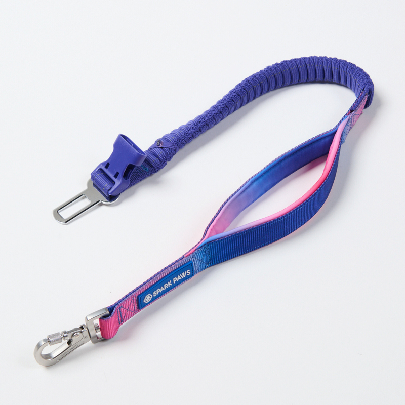 Snow Cone Neoprene Leash