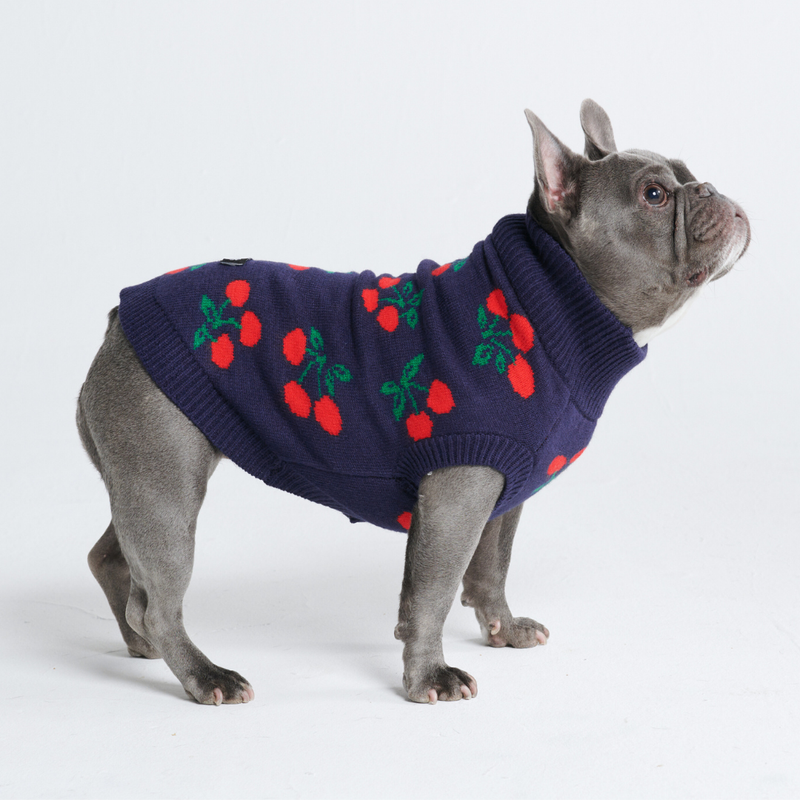 Cherries Knit Dog Sweater