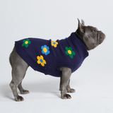 Flower Knit Dog Sweater - Blue Green Yellow