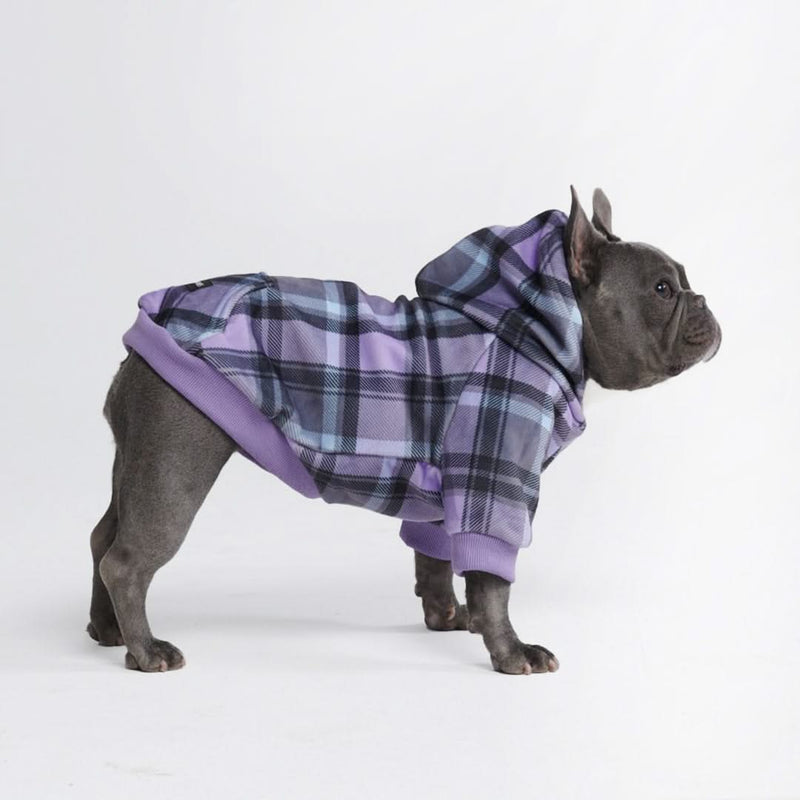 Purple Plaid Dog Hoodie