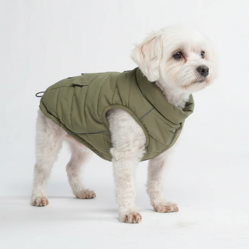 Olive Warmshield Jacket||size:M