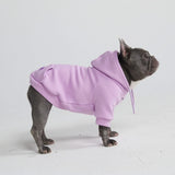 Essential Dog Hoodie - Orchid Purple