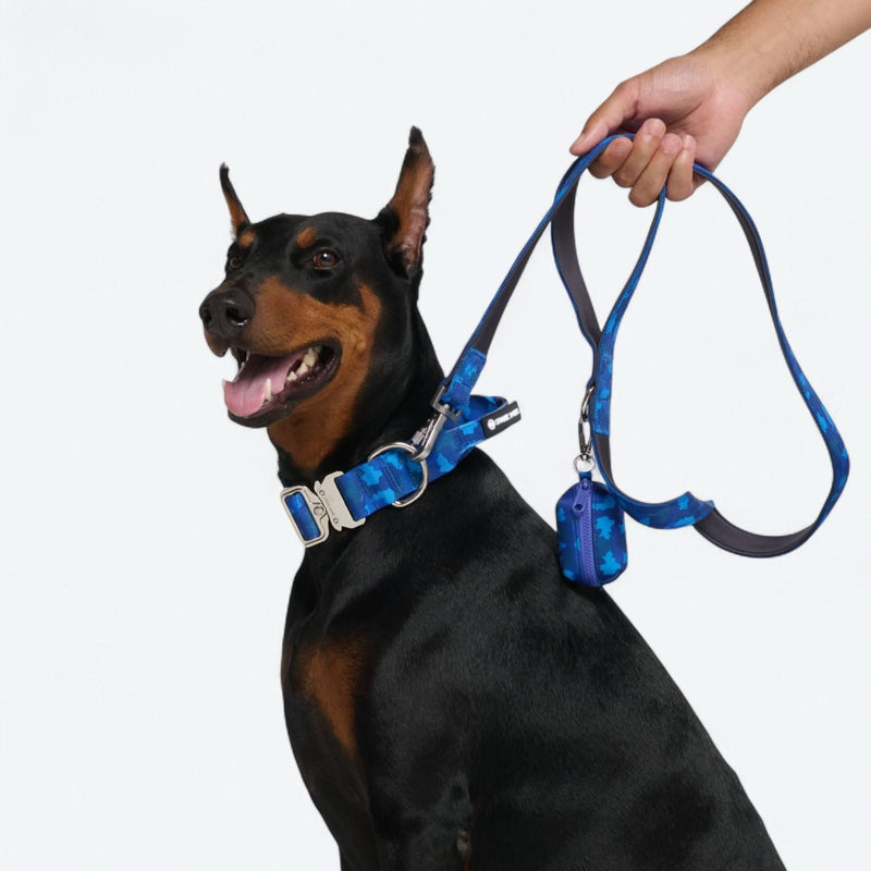 Blue Camo Collar
