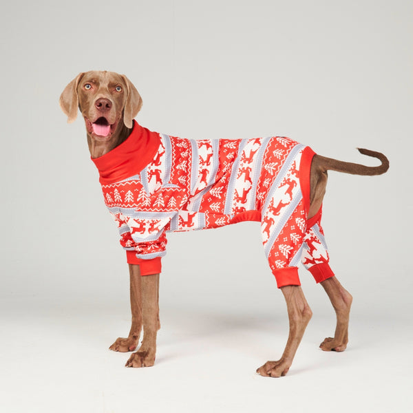 Dog Pajama - Winter Wonderland