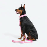 Pink Collar