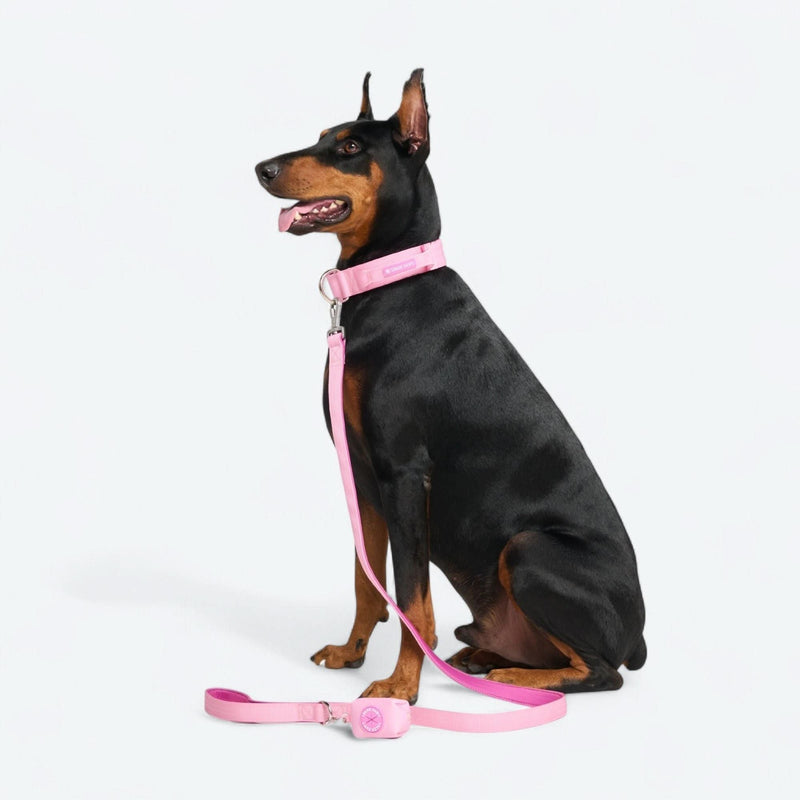Pink Collar