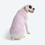 Stripe Shirt - Purple Blue