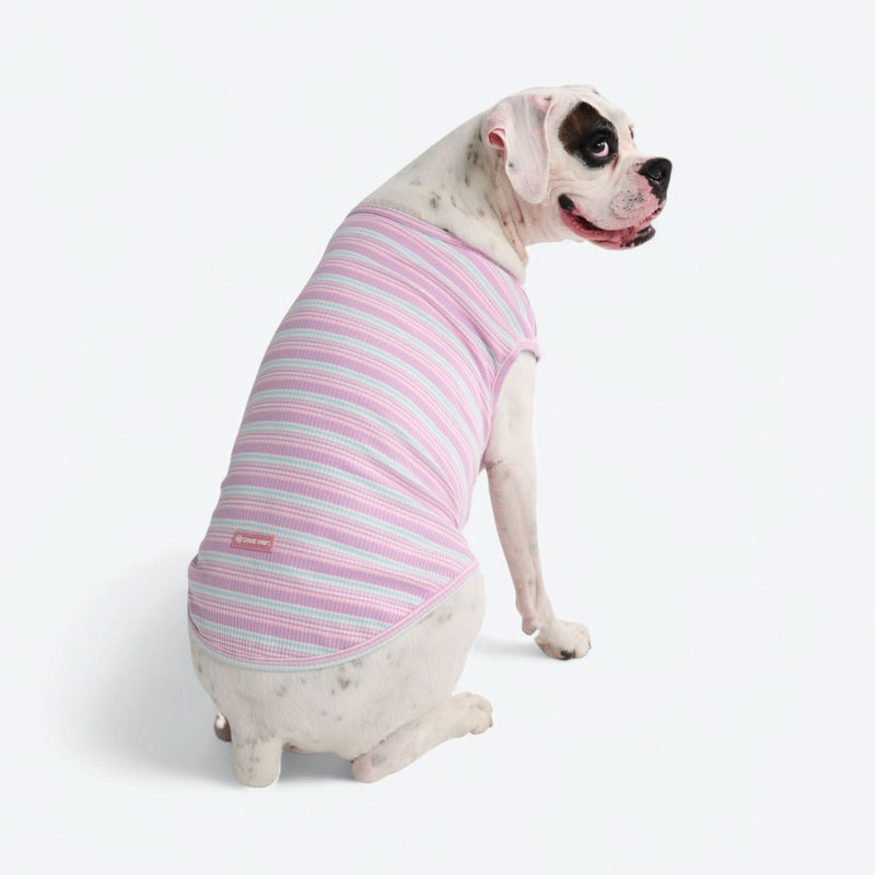Stripe Shirt - Purple Blue