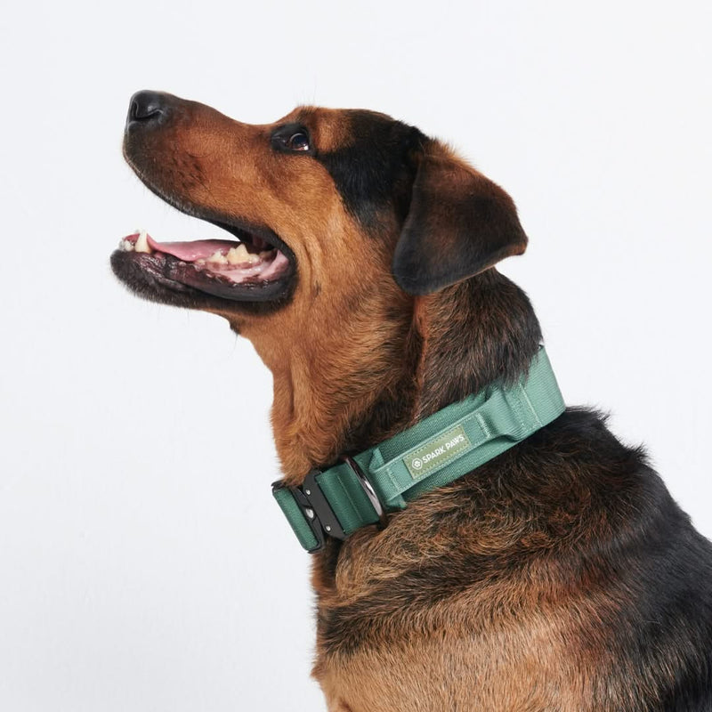 Comfort Control Collar - Army Green