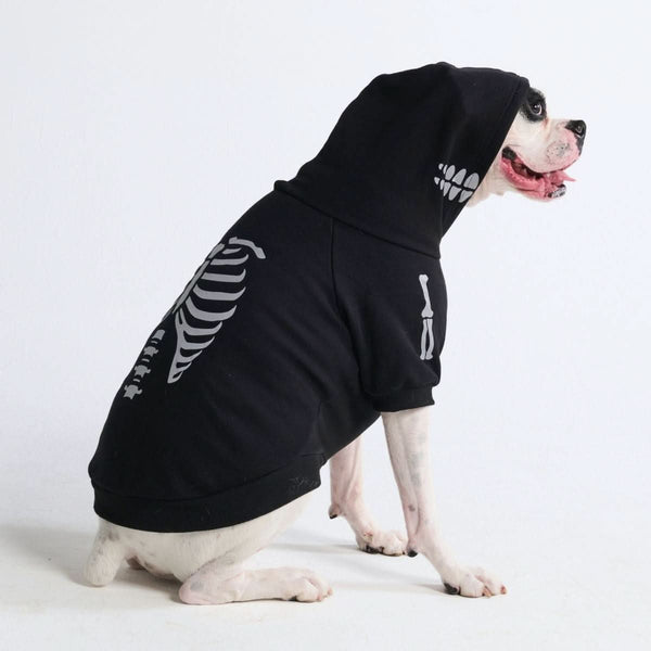 Halloween Dog Hoodie - Reflective Skeleton