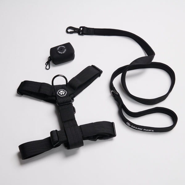 Comfort Control No-Pull Dog Harness Set - Black