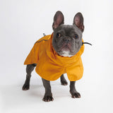 Dog Raincoat - Yellow