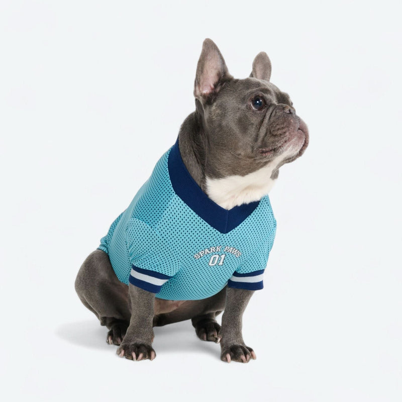 Football Mesh Jersey - Blue