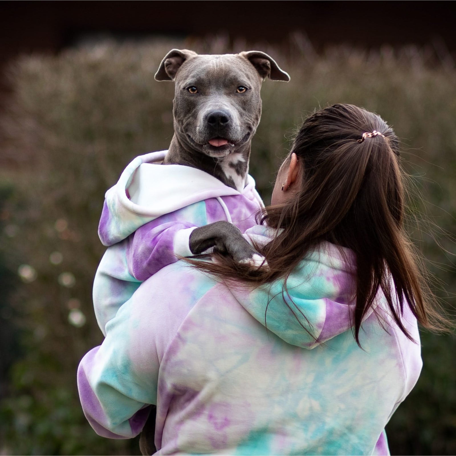 Pitbull in a hoodie sale