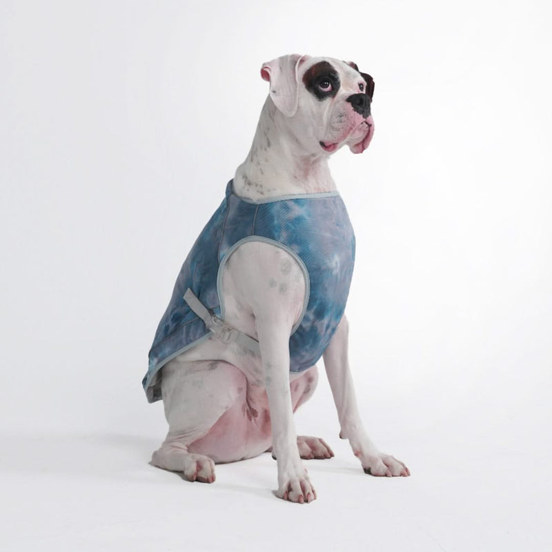 Dog Cooling Vest Ice Blue