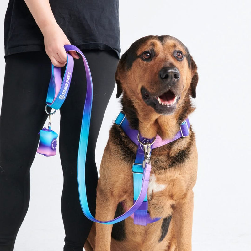 Comfort Control No Pull Dog Harness Set 90s Retro SPARK PAWS
