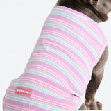 Stripe Shirt - Purple Blue