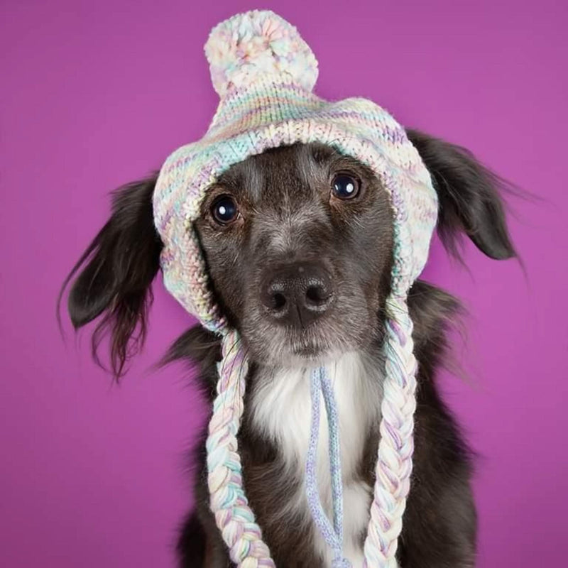 Knit Pom Pom Dog Beanie Hat Pastel Icing