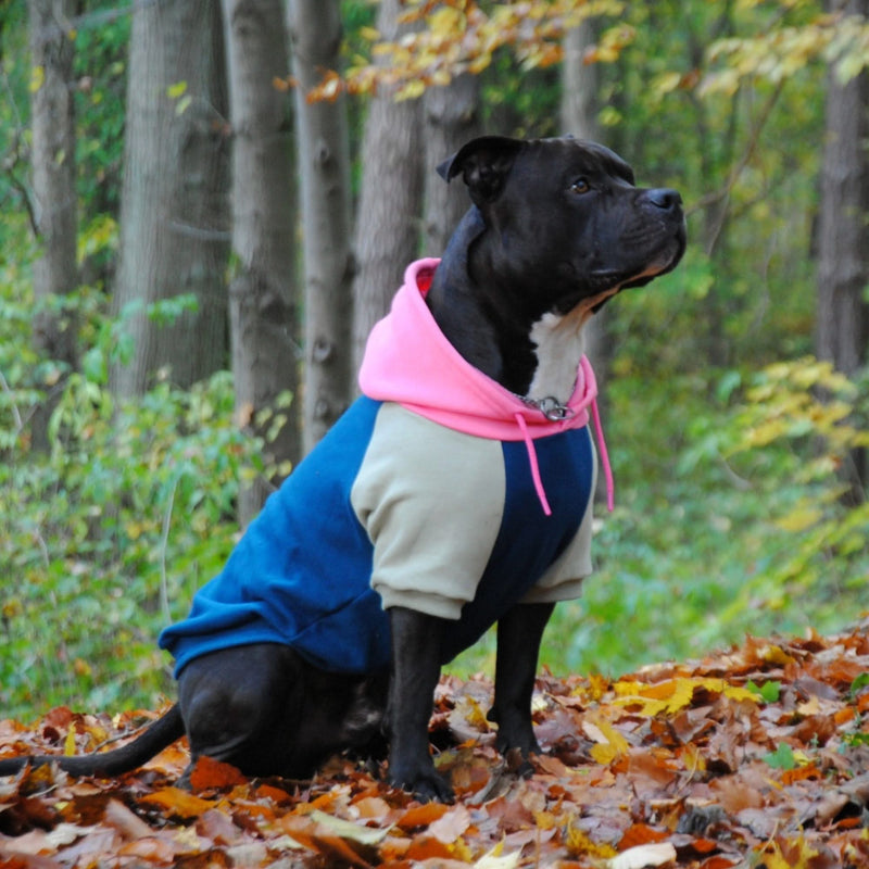 Recess Dog Hoodie