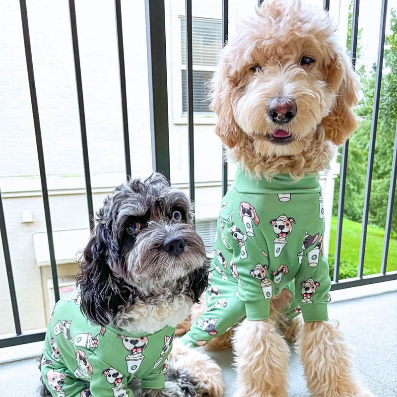 Matching Christmas Pajamas Dog And Baby Matching Onesies PatPat