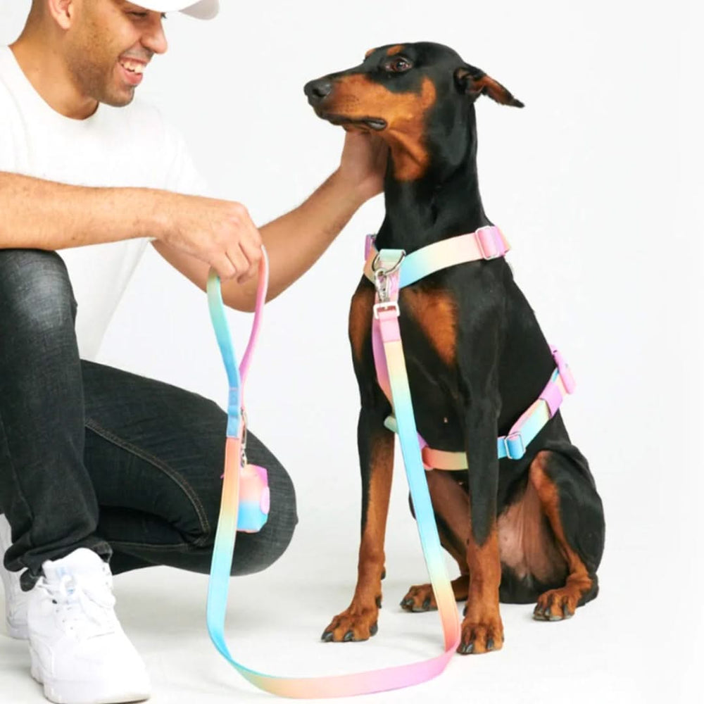 No pull dog harness clearance