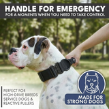 Black Collar||size:XS,S,M,L