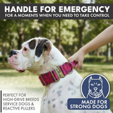 Fuchsia Camo Collar||size:XS,S,M,L