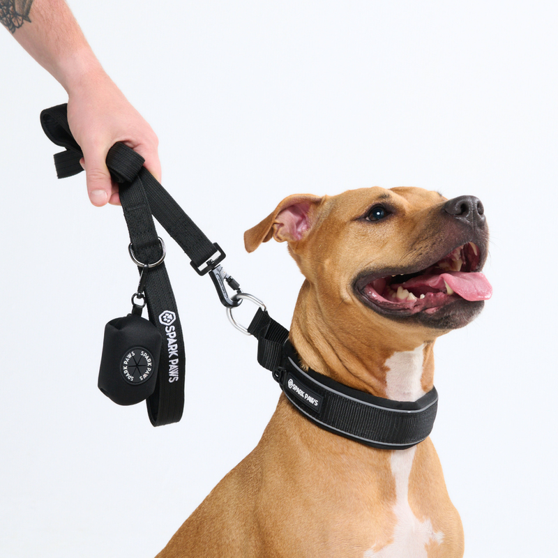 Black Collar||size:C,D,E