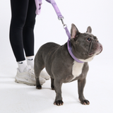 Lilac Neoprene Leash
