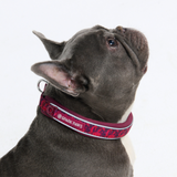 Fuchsia Camo Collar||size:A,B