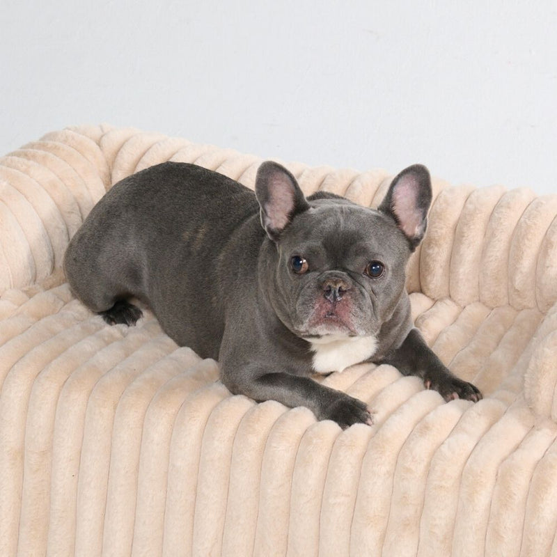 Luxury Couch Cover Dog Bed - Beige