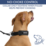 Black Martingale Collar||size:C,D,E