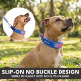 Snow Cone Martingale Collar||size:C,D,E