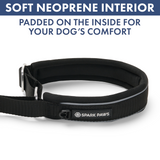 Black Martingale Collar||size:A,B,C,D,E