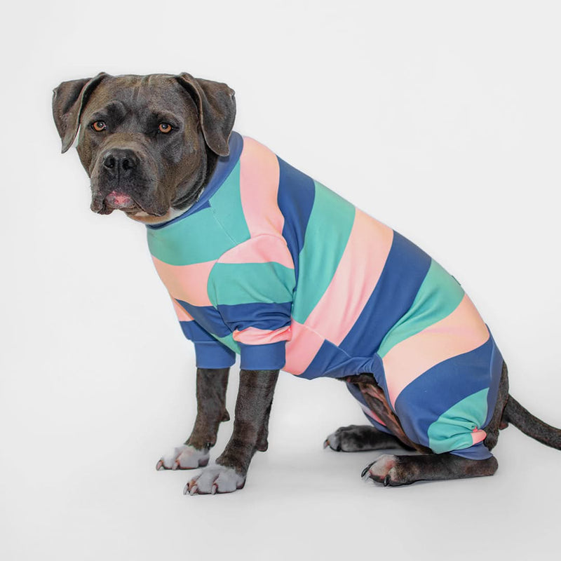 Dog Pajama - Navy Turquoise Blue