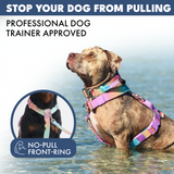 Pastel Icing Harness||size:S,M,L