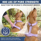 Lilac Harness||size:S,M,L