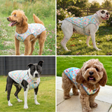 Popsicle Cooling Vest||size:S,M,L,XL,2XL,3XL,4XL