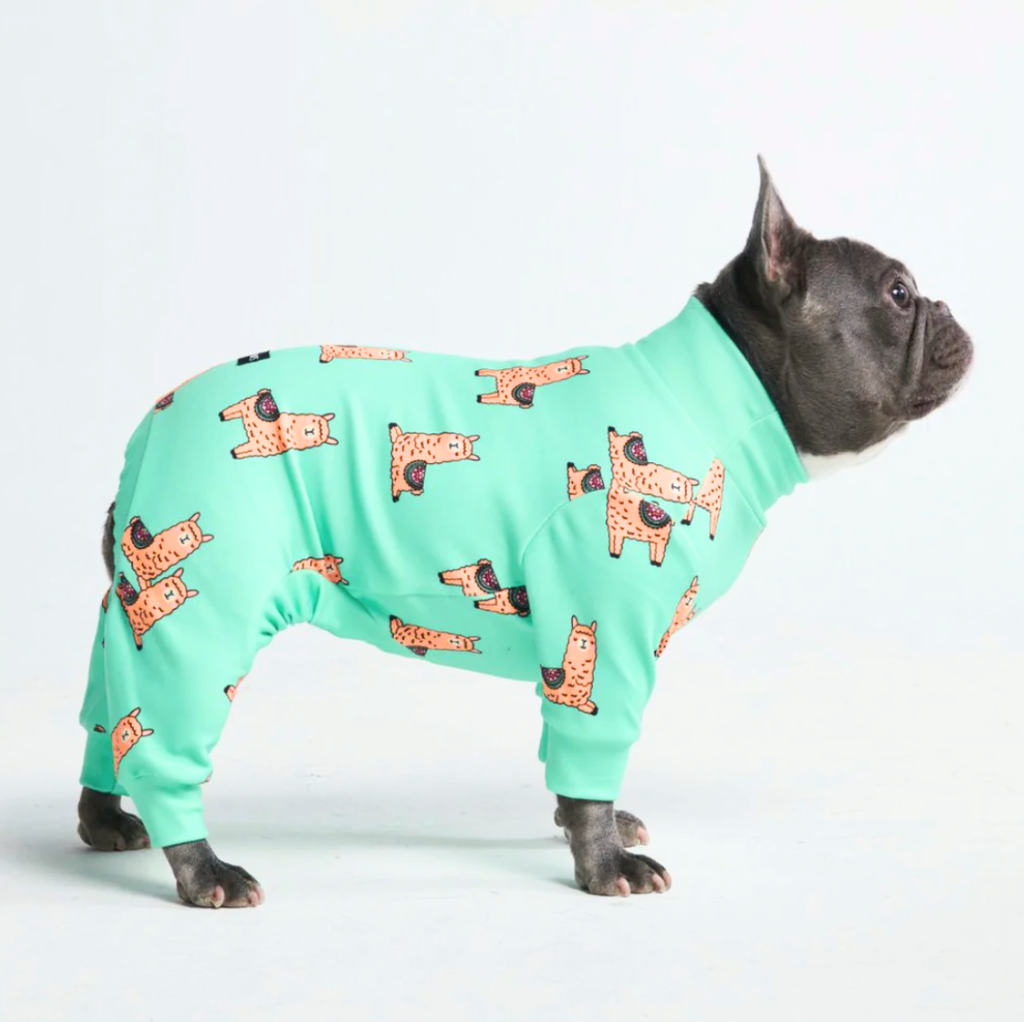 Ll bean dog pajamas best sale