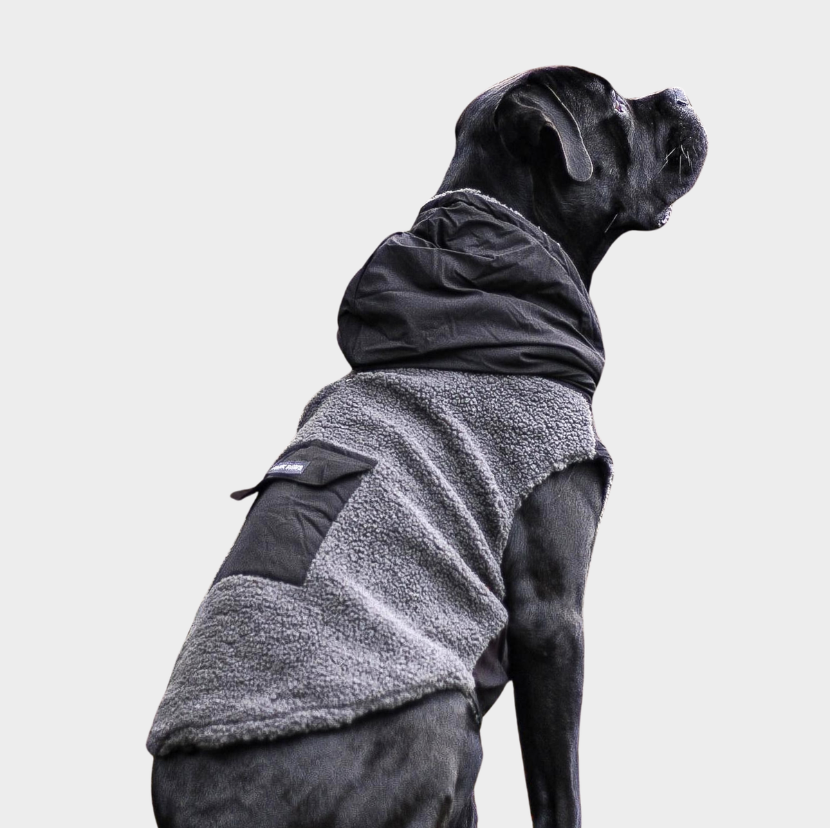 Reversible field coat for dogs discount