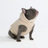 Teddy Sherpa Dog Sweater - Beige