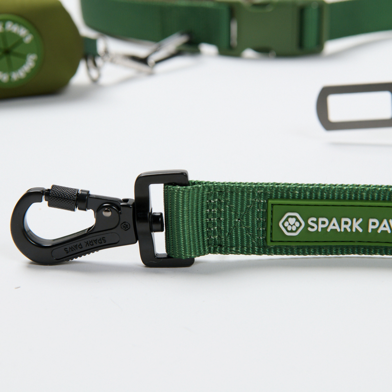 Green Neoprene Leash