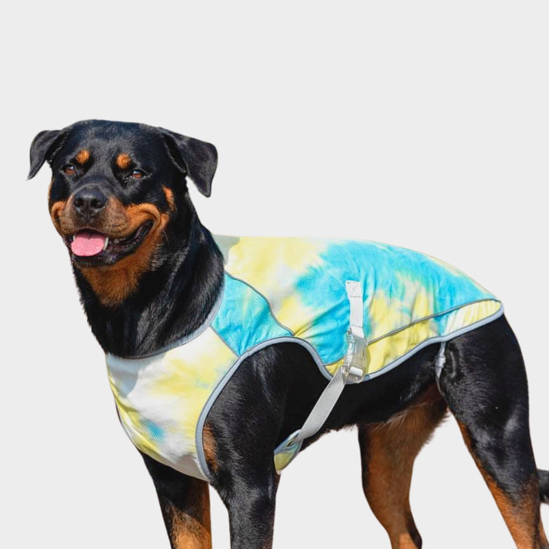 Jacket for dogs during storms clearance