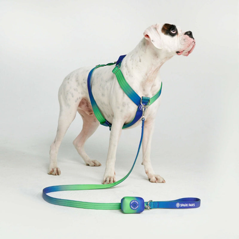 Lime Wave Harness