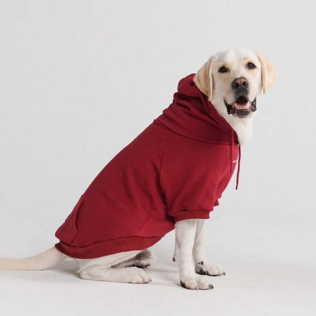 Dog deals burgundy jacket